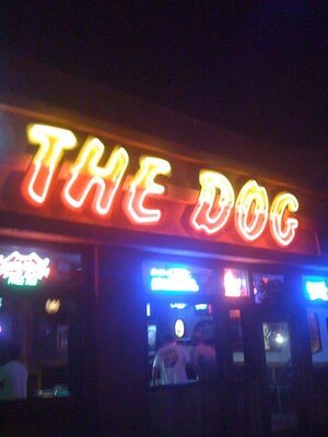  The Dog in Pacific Beach 